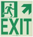 Nmc 50f-6sn-ur 7550 Glo Brite Nyc Wall Mount Exit Flex Glow Sign With Up Right Graphic 8 Length X 9 Height Green On Pale 