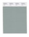 Pantone Smart 16-5304x Color Swatch Card Jadeite 