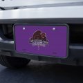 City College Of New York Primary Logo Novelty Metal Vanity Tag License Plate