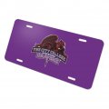 City College Of New York Primary Logo Novelty Metal Vanity Tag License Plate