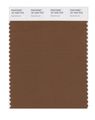 Pantone Smart 18-1033x Color Swatch Card Dachshund 