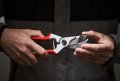 Felco Pruning Shears F 4 High Performance Swiss Made One-hand Garden Pruners 