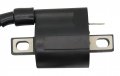 Ignition Coil For Yamaha Ttr90 2000-2007