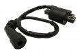 Ignition Coil For Yamaha Ttr90 2000-2007