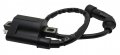 Ignition Coil For Yamaha Ttr90 2000-2007
