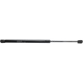 Hood Lift Support For Hyundai Tiburon 2003 2004 2005 2006 2007 2008 Gas Charged Damper Clx-m0-usa-reph131102-cl360a70 Black
