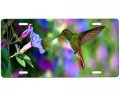 Hummingbird License Plate 