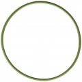 Mahle G31955 Fuel Injection Throttle Body Mounting Gasket 