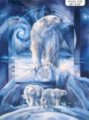 Northcott Polar Frost By Jody Bergsma Dp24836 46 Digital 24 Bear Panel 