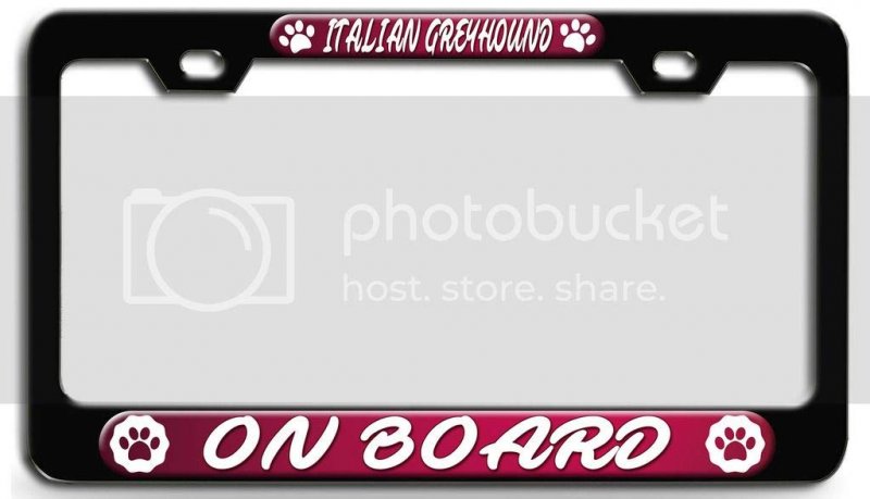 Italian Greyhound On Board Dogs Pets Bl 3d Metal License Plate Frame Auto Suv Truck Tag Holder B99
