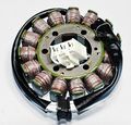 Ricks Motorsport Electric Stator 21-232 