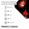 Ciata Lighting Dimmable T3 Xenon E12 Krypton Light Bulb 40 Watt Frosted Pack Of 10