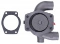 Solarhome Water Pump 41312487 41312159 Aw2019 U5mw0097 Compatible With Engline D3 152 3 1524