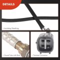A-premium O2 Oxygen Sensor Compatible With Lexus Gs300 1998-2005 Toyota Highlander 2001-2004 Rav4 2001-2003 Replace 8946542100