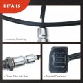 A-premium O2 Oxygen Sensor Compatible With Audi A8 Quattro019 S4 S5 18-19 S6 20-21 Rs3 Rs5 Sportback S7 Sq5 Tt Rs Porsche