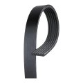 V Ribbed Serpentine Belt For Dodge Avenger Grand Caravan 2008 2009 2010 Fan And Alternator 6 Rib 0 81 In Top Width 69 37 Length 