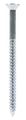 Wood Screw 