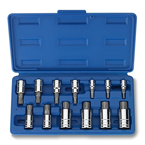 13 Pc Ribe Bit Drive Driver Set For Socket Tool Kit M4 To M16 Polydrive Poly