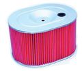 Hiflofiltro Hfa1906 Premium Oe Replacement Air Filter 