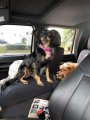 Car Console Coves Plus Fleece Auto Armrest Center Cover Designed For Gmc Sierra Trucks With Fold Down Triple Cup Holder Shown