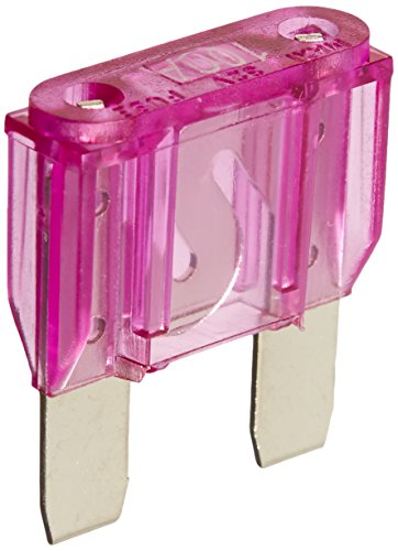 Rockford Fosgate 100 Amp Maxi Fuse