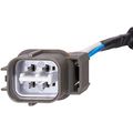 S10236 Crankshaft Position Sensor 