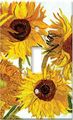 Art Plates Van Gogh Sunflowers Outlet Cover Switch Plate Single Gang 