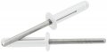 Allstar Performance All18185 Silver 1 16-1 2 In Grip Range Rivet 250 Pack 