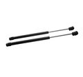 A-premium Hood Lift Supports Shock Struts For Ford Expedition F-150 F-250 1997-2004 2-pc Set