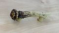 Heavy Duty 3 Antler Pull Cabinet Drawer Knobs 2 Pack Sizes Of Screws And Washers Included