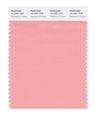 Pantone Smart 14-1521x Color Swatch Card Peaches N Cream 