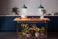 Ge Grow Led Light Bulb Par38 Flood Indoor And Outdoors For Plants Flowers Fruit With Advanced Light Spectrum 30 Watts 1 Pack