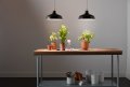 Ge Grow Led Light Bulb Par38 Flood Indoor And Outdoors For Plants Flowers Fruit With Advanced Light Spectrum 30 Watts 1 Pack 