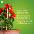 Ge Grow Led Light Bulb Par38 Flood Indoor And Outdoors For Plants Flowers Fruit With Advanced Light Spectrum 30 Watts 1 Pack