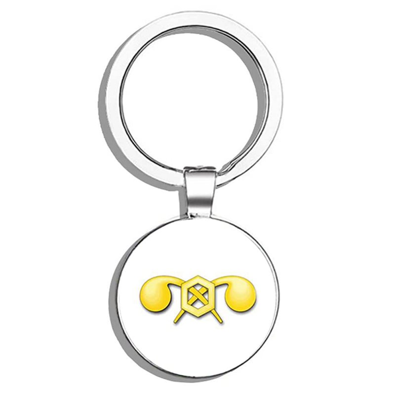 Hj Media Us Army Chemical Corps Metal Round Key Chain Keychain Ring
