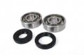 Main Crank Shaft Bearings Seals Kit 24-1072b For Yamaha Dt125 Dt175 It175 Mx125 Mx175 Ty175 Yz100 Yz125 