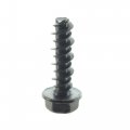 Polaris Screw Qty 10