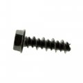 Polaris Screw Qty 10