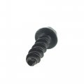 Polaris Screw Qty 10
