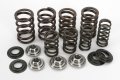 Kibblewhite Precision Valve Spring Kit Yz450f 