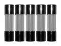5 Qty Gdc 800ma Slow-blow Fuse T800ma 250v800ma Gdc 800 Ma 