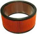 Fram Pra3549 Air Hog Round Filter 