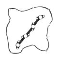 1 Set Engine Valve Cover Gasket 11213-0c010 11214-0c010 For Toyota 4runner Sr5 2 7l L4 Gas 2010 