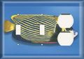 Two Switch One Duplex Receptacle Plate Yellow Fish 