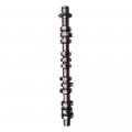 Labwork Left Camshaft 5l1z-6250-aa Fit For 2005-2010 Ford Lincoln Mercury 4 6l 5 4l 3v Sohc