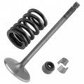 Caltric Intake Valve Kit Compatible With Yamaha Viking Vi Yxm700 4x4 2015 2016 2017 2018 2019 2020 2021 2022