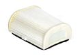 Hiflofiltro Hfa4702 Premium Oe Replacement Air Filter 