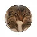 Sleepy Cat Memes Double Sided Stainless Steel Keychain 3d Resin Encased Round Design 1 25 In Novelty Key Ring For Backpacks And 