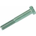 Stainless Hex Cap Bolt 