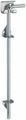 1 2x12 Ss Cane Bolt 